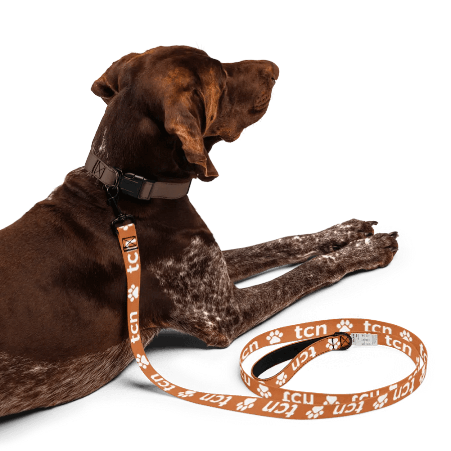 BEST FRIEND LEASH product image (3)
