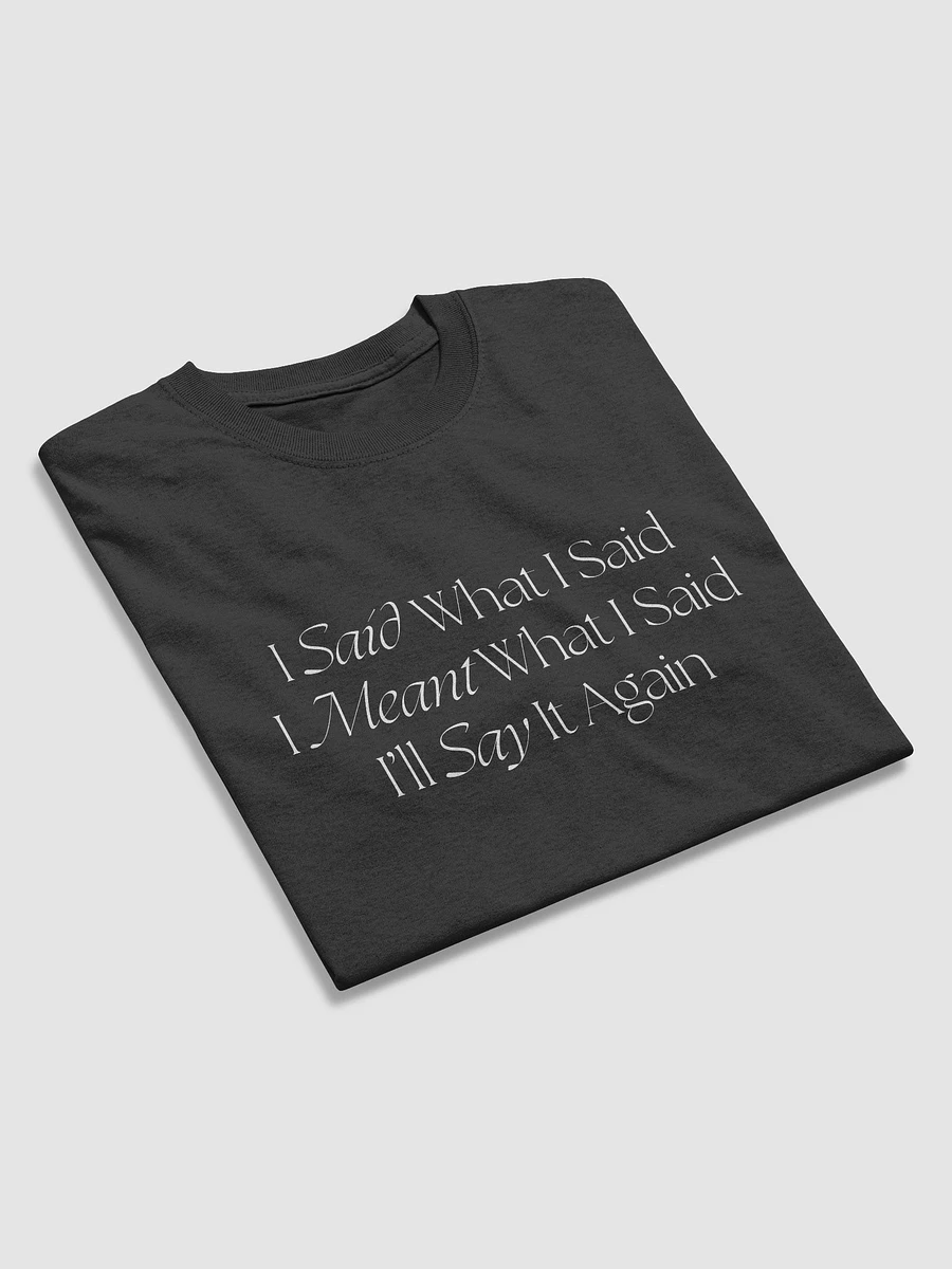 I Said What I Said - Basic Tee (TheeMlle Classics Merch) product image (17)