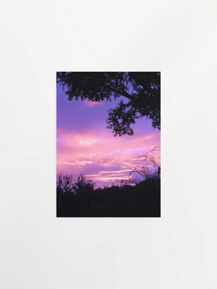 Florida Sunset product image (7)