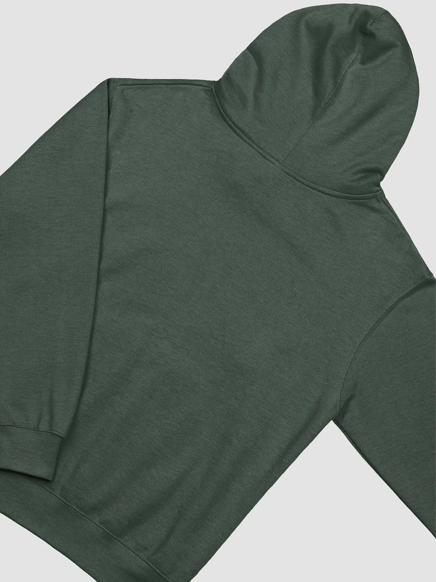 B&C Bears Hoodie product image (4)