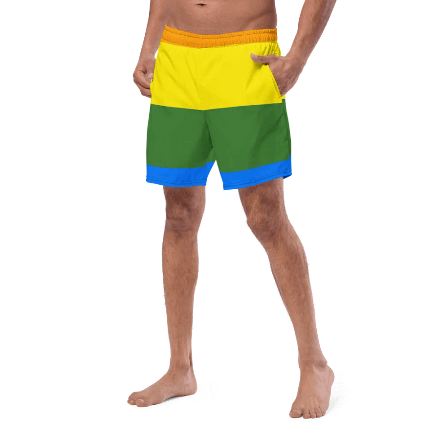 Sunset Stripes All-Over Swim Shorts product image (2)