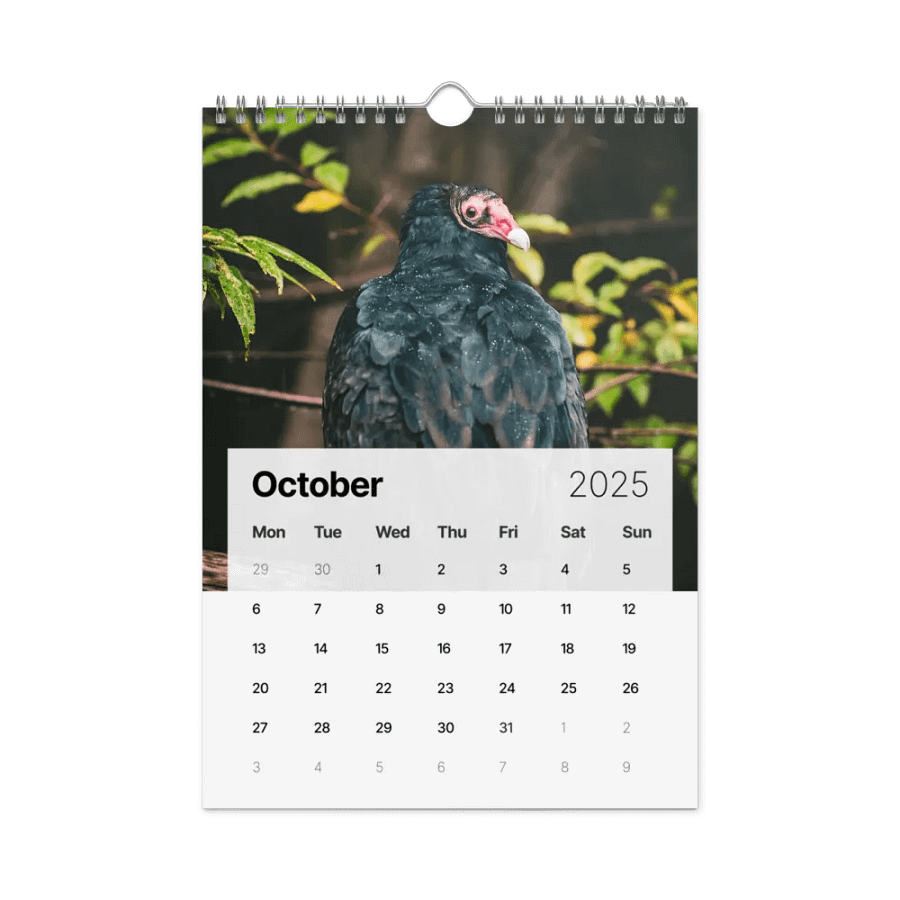 You need it. You might as well buy this one Calendar product image (12)