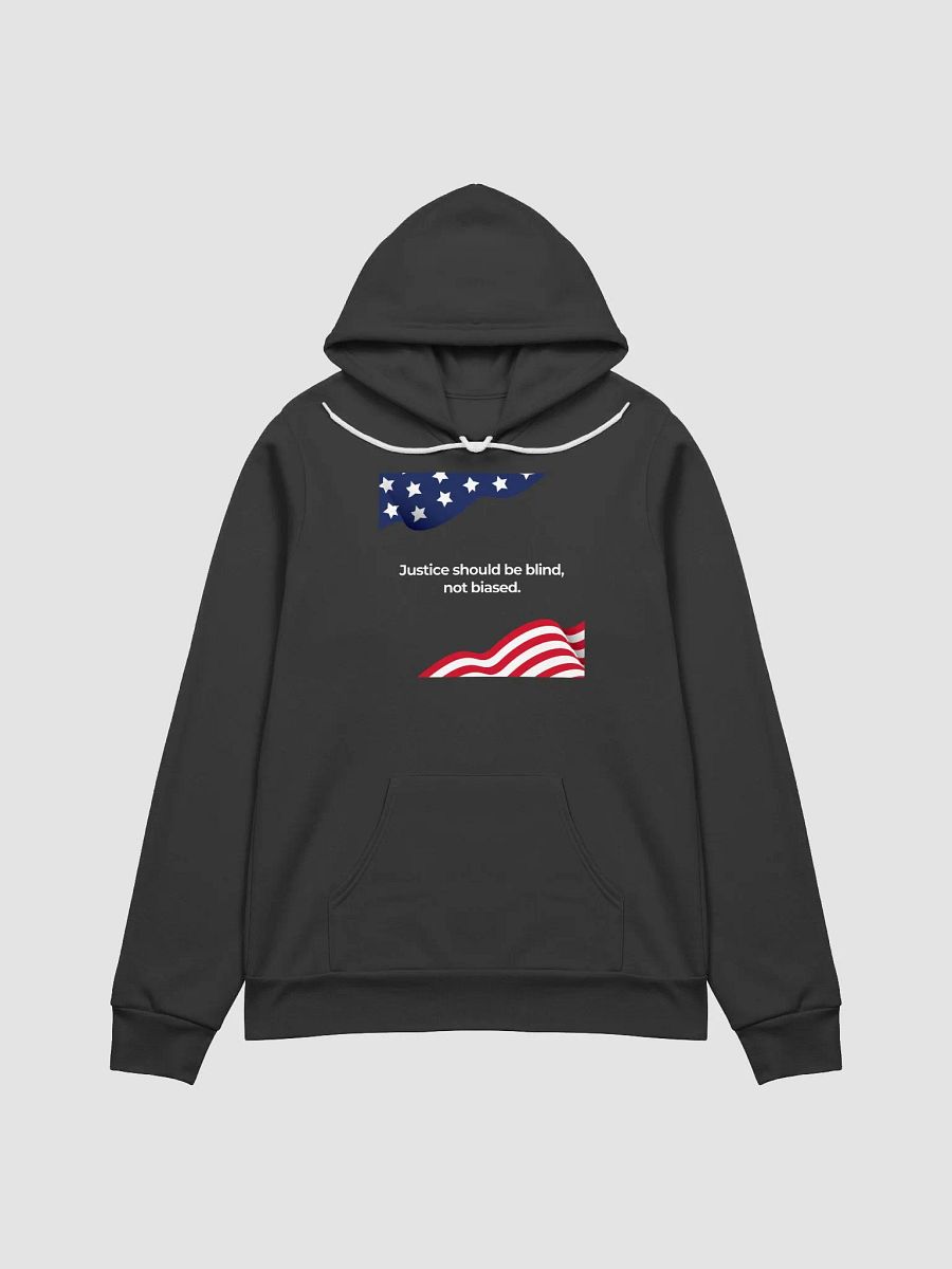 Justice – The Democracy Collection – Hoodie product image (2)