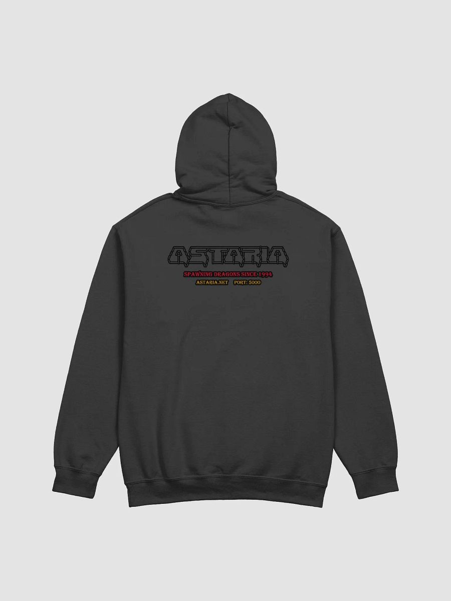 Astaria Hoodie product image (4)