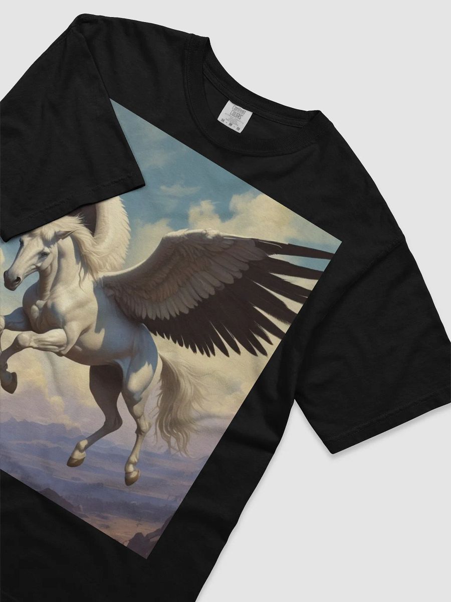 Pegasus product image (18)
