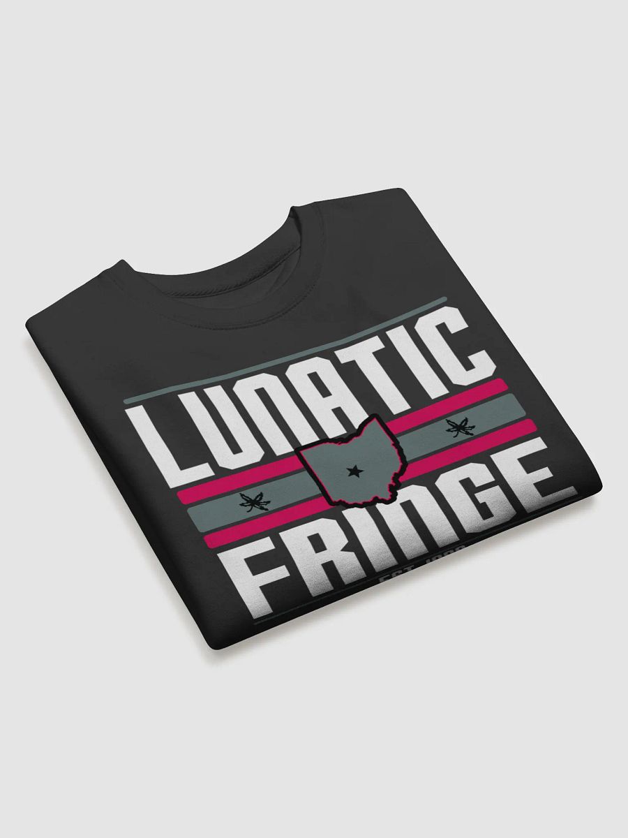 Lunatic Fringe Sweater (Black) product image (3)