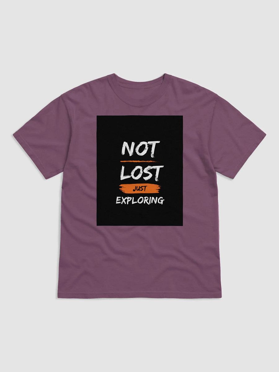 Explore & Embrace T-Shirt product image (8)