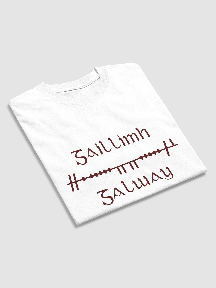 Galway/Gaillimh Scholastic style Ogham white printed T-shirt product image (3)