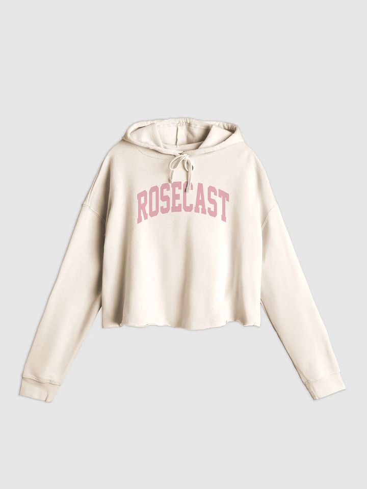 College Block Cropped Hoodie product image (1)