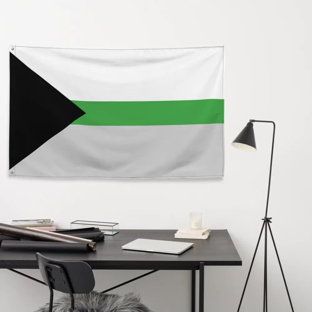 Demiromantic Flag product image (9)