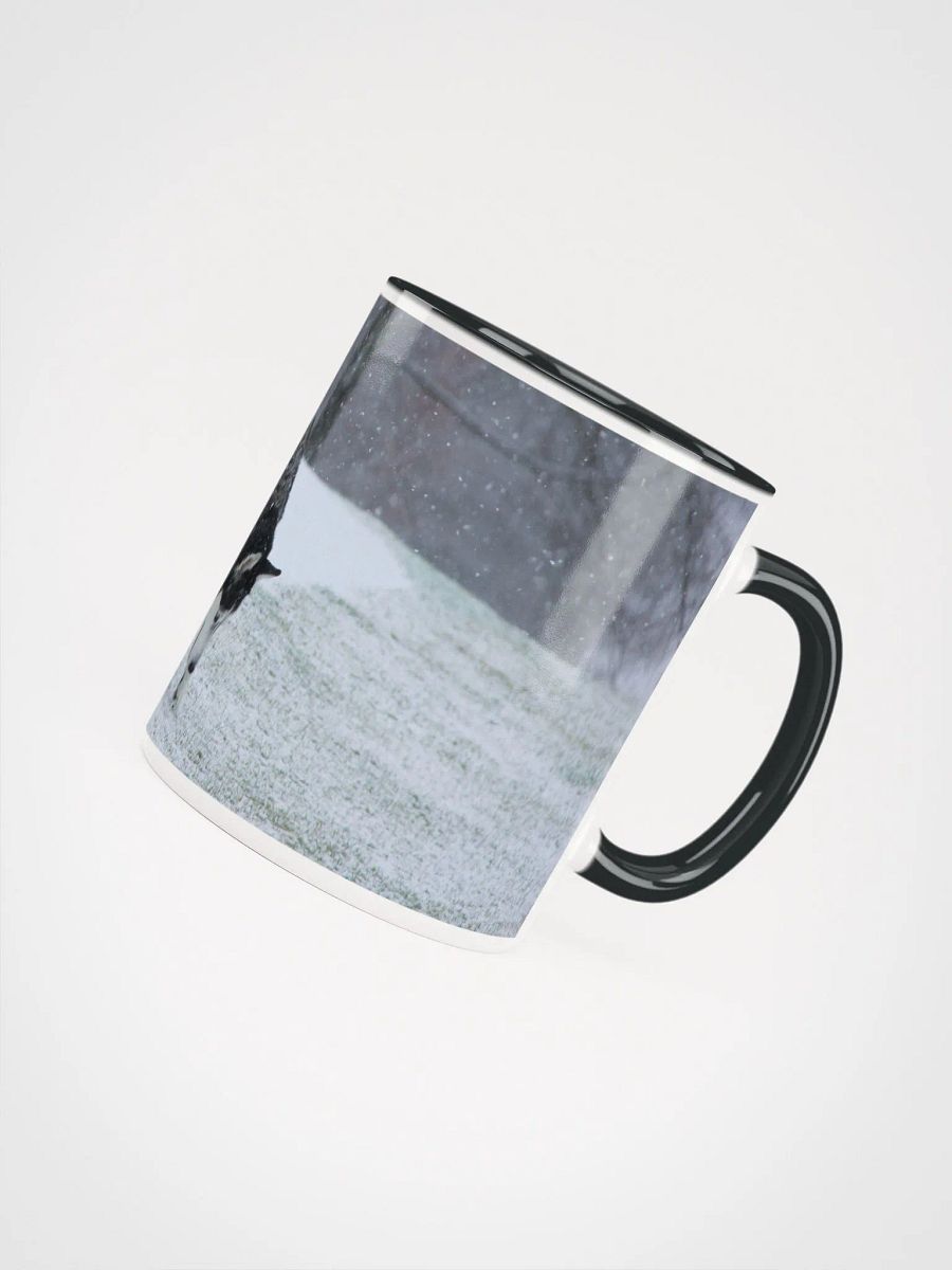 Blue Eye Siberian Husky in the Snow with Trees in the background product image (5)
