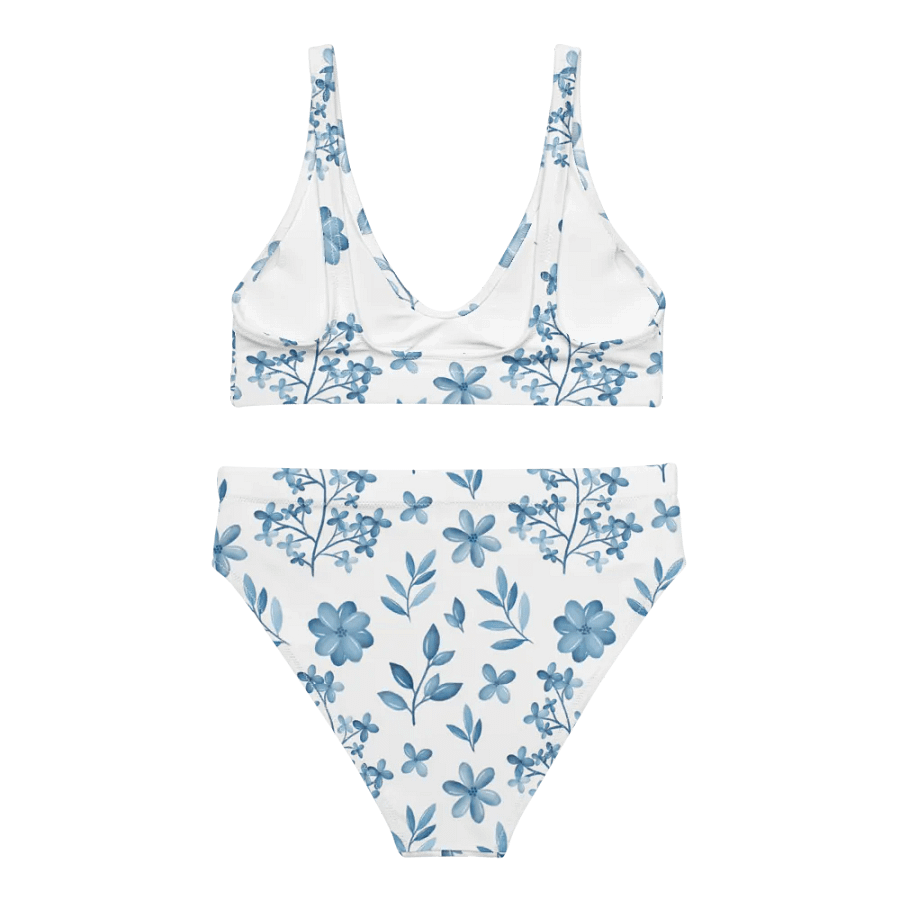 DizSea High Waisted Bikini product image (5)