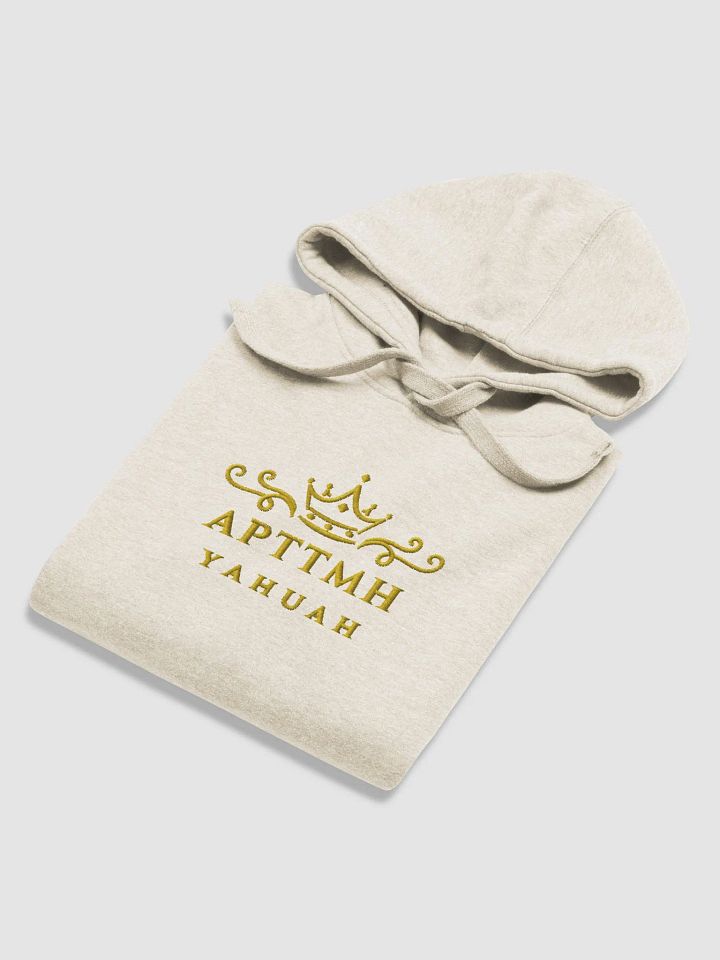 APTTMH Premium Hoodie product image (1)
