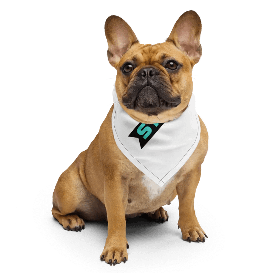 StreamMachine Bandana product image (6)