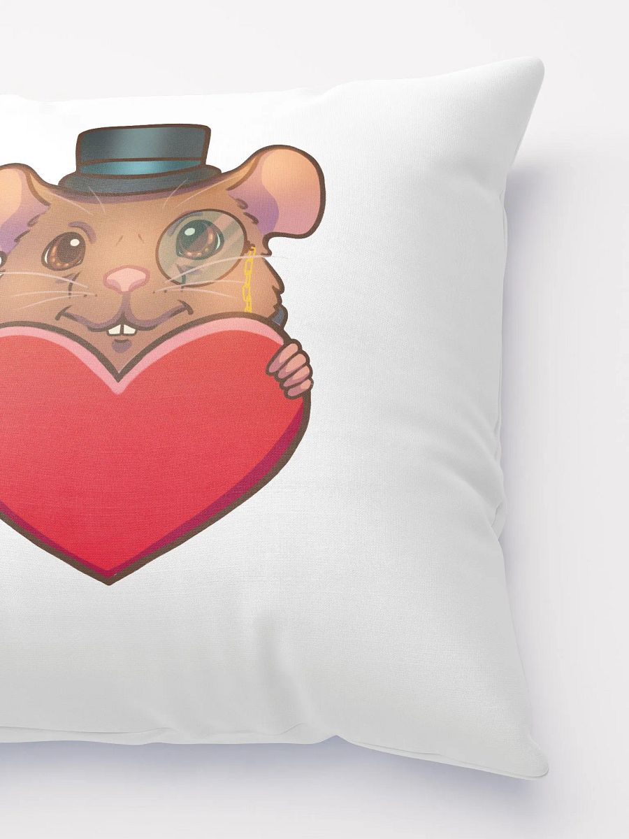Pillow product image (2)
