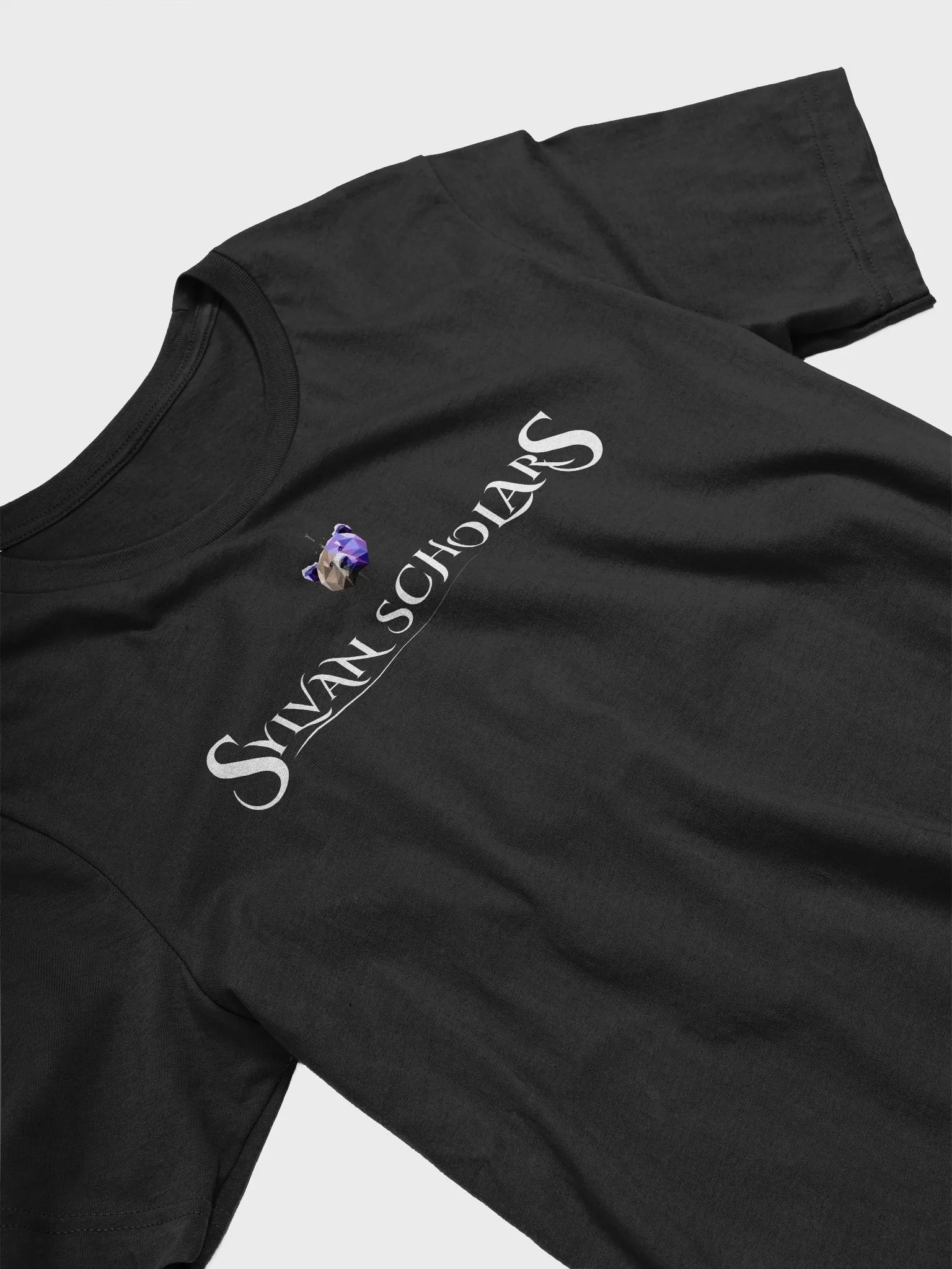 SylvanScholars T with Bear product image (34)