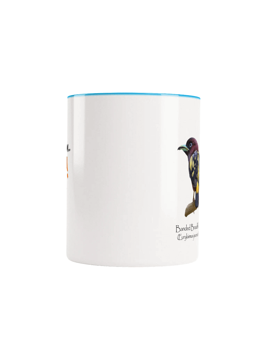 Banded Broadbill mug product image (5)
