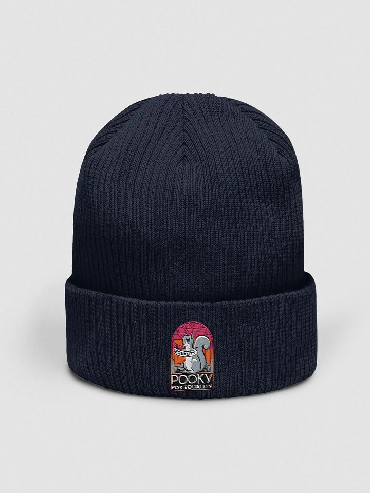 Organic Cotton Embroidered Beanie: Pooky for Equality product image (1)