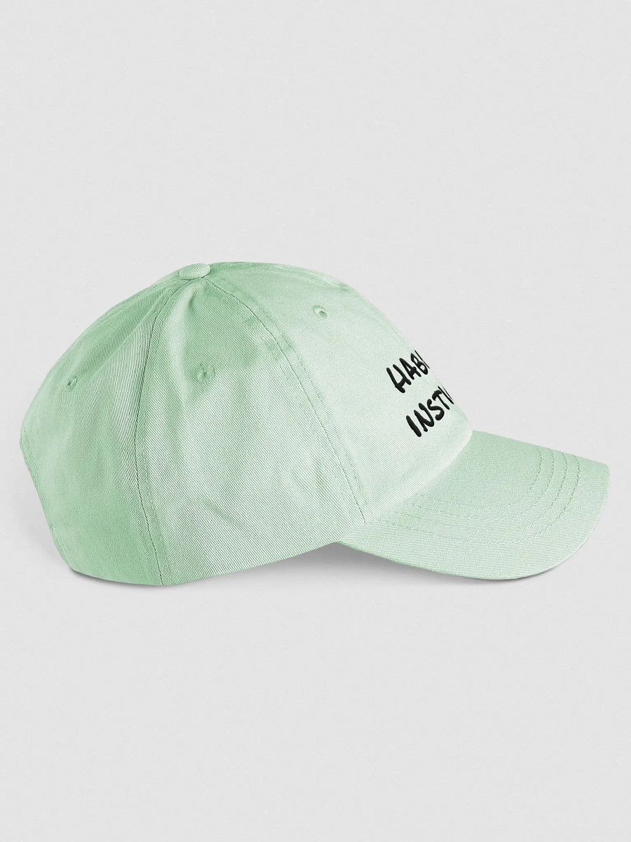 Habitual Instigator pastel dad hat product image (4)