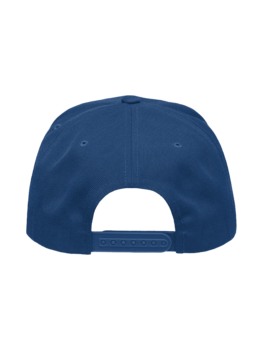 ONLY REAL FANS SPORTS Wool Blend Snapback product image (6)