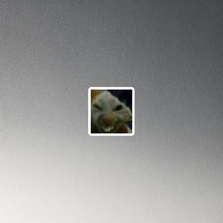 XDX MAGNET product image (4)