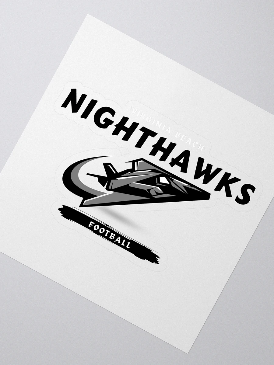 Virginia Beach Nighthawks Stickers product image (2)