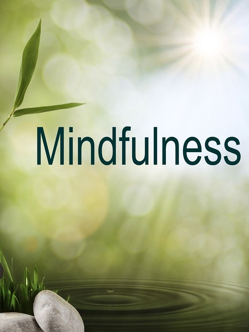 El Poder del Presente - Una Guía en Mindfulness