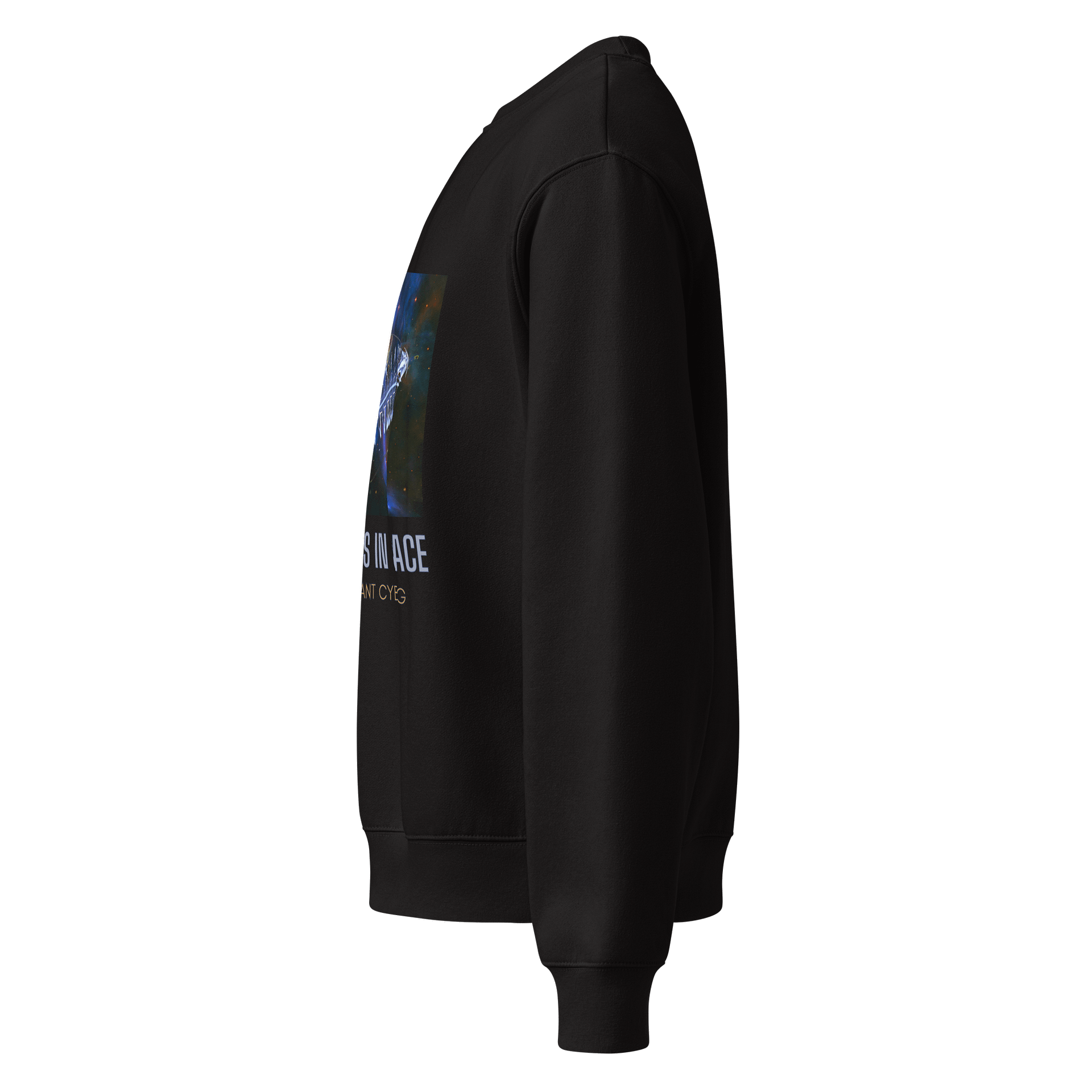 Tomopteris in Space Sweatshirt product image (3)