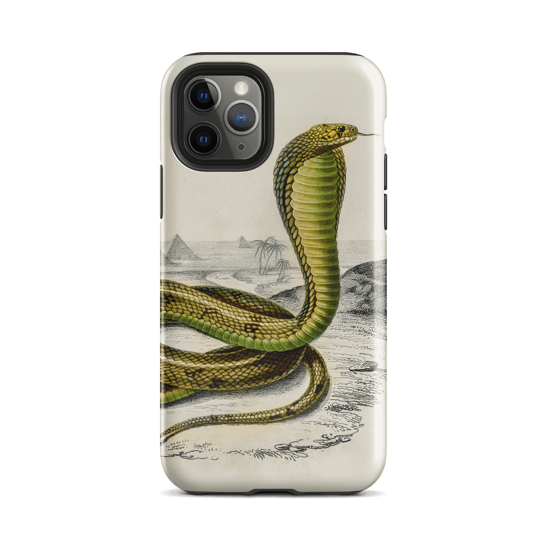 Vintage Snake Illustration iPhone® Tough Case product image (51)