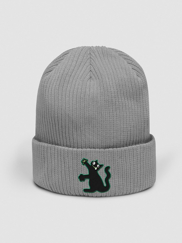 Beanie - DerpCat product image (46)