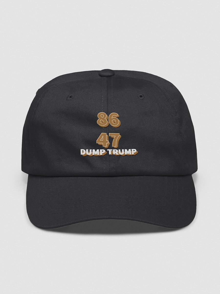 8647 Ballcap product image (2)