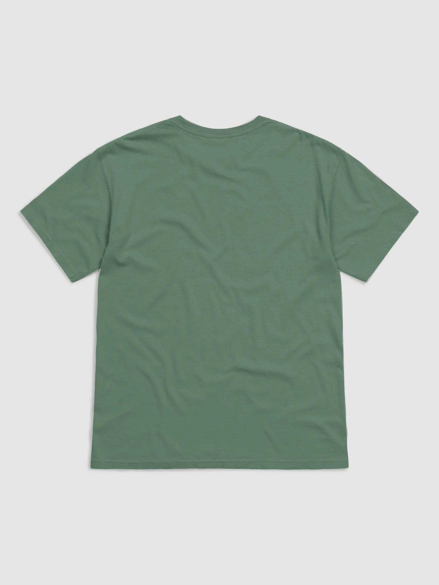 Pride Leopard T-Shirt product image (12)