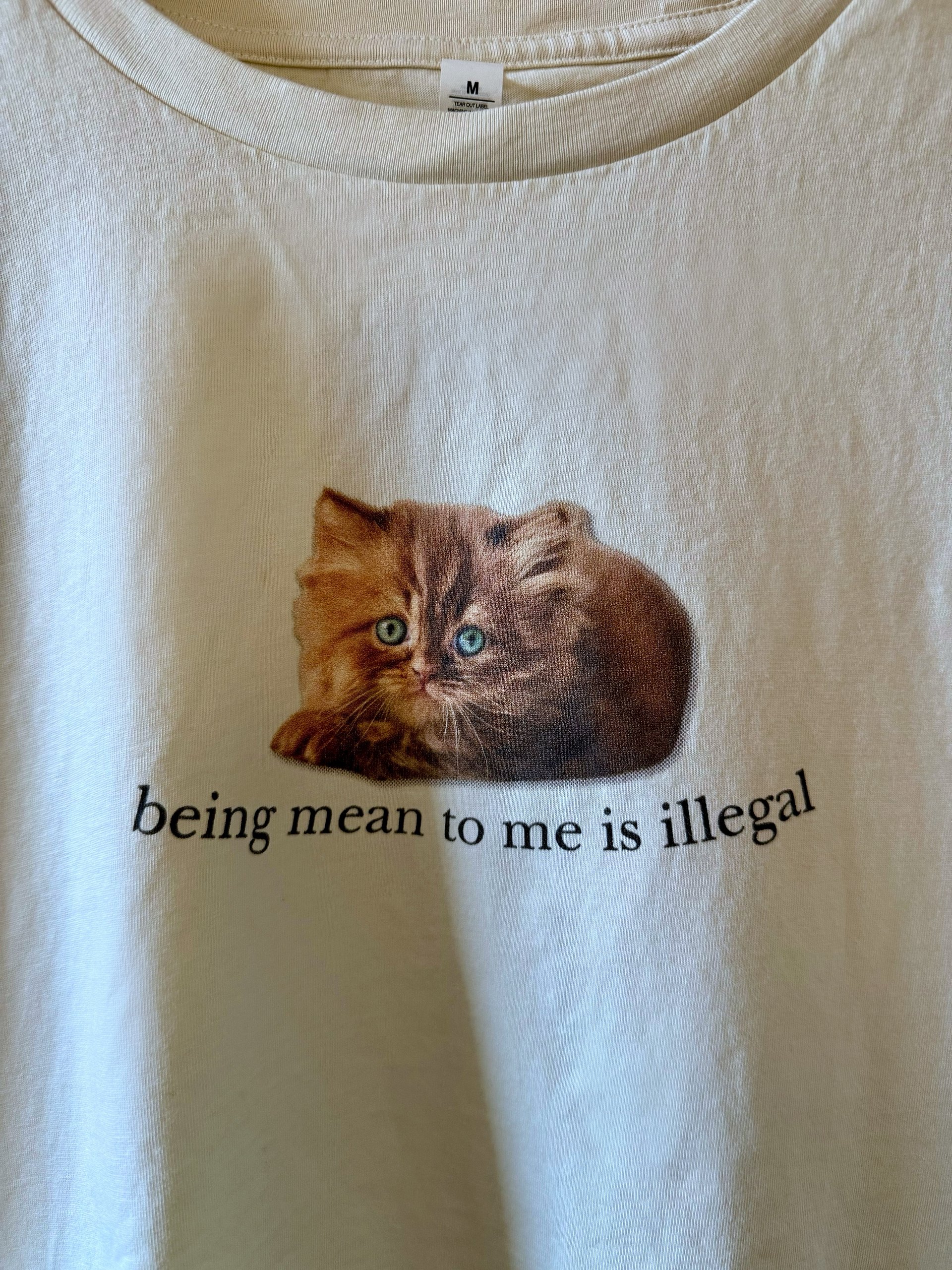 Being mean to me is illegal crop top product image (2)