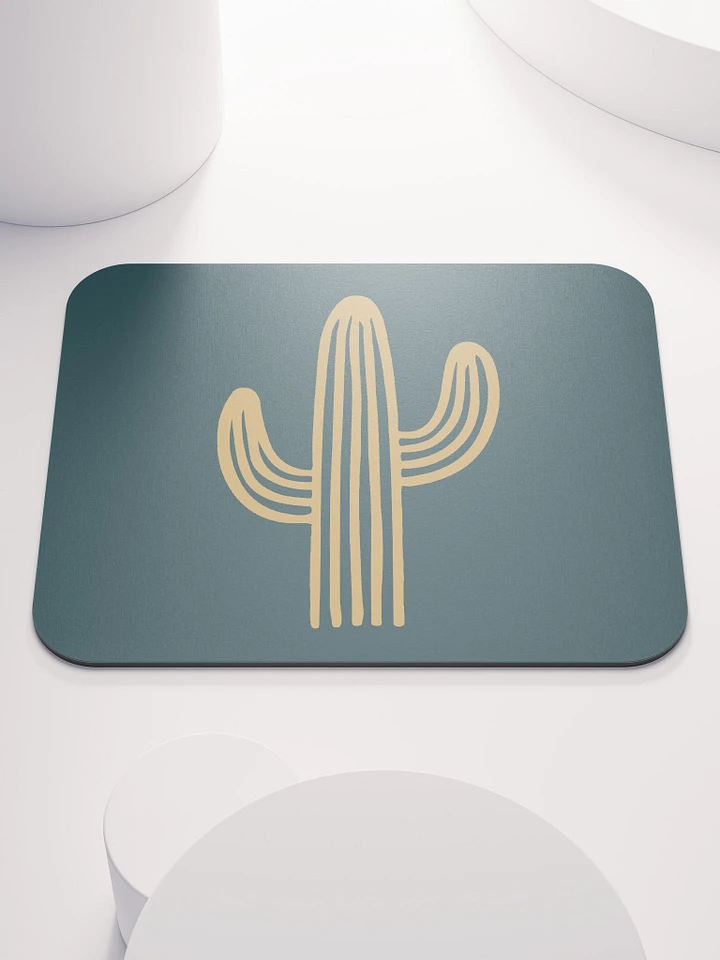 Cactus product image (1)