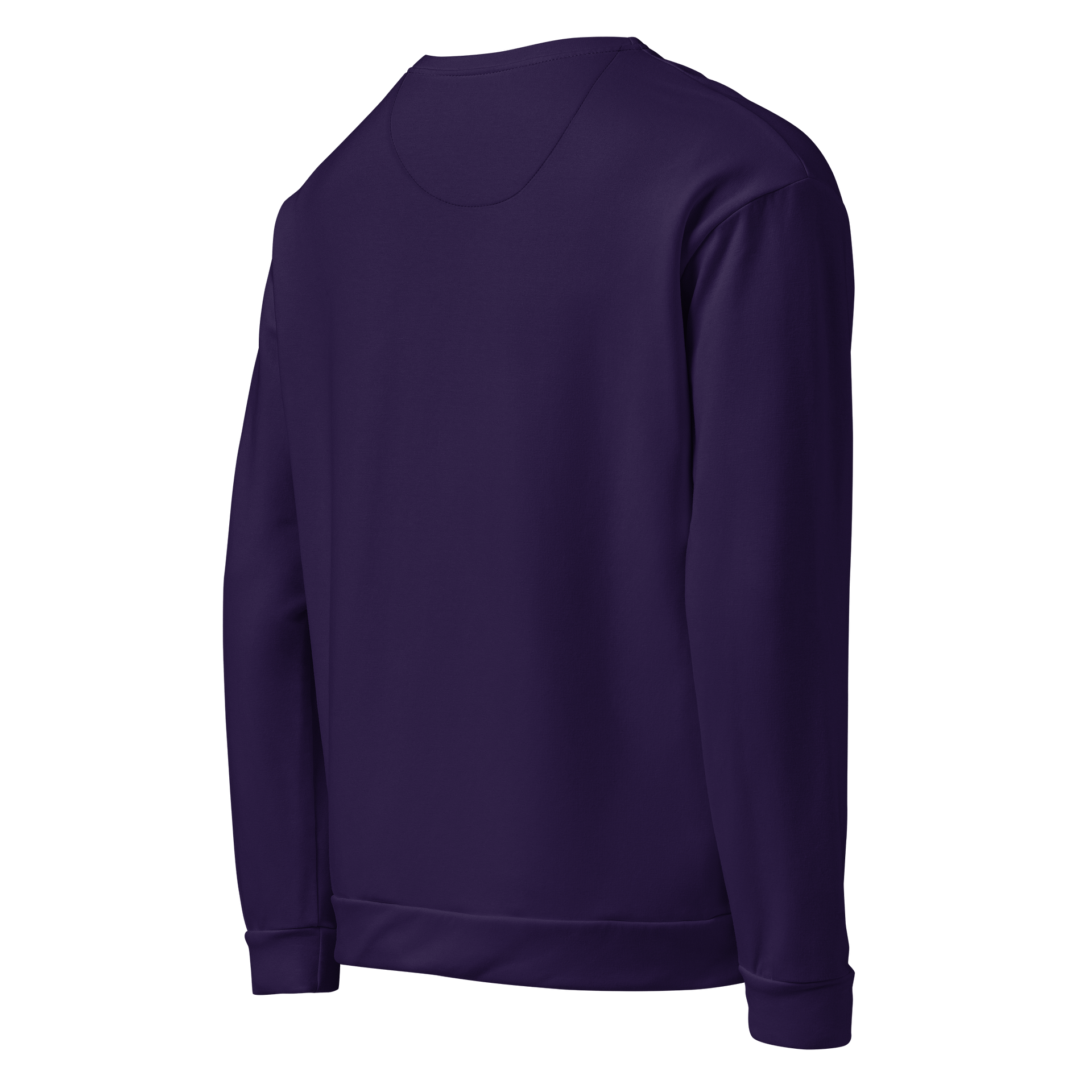 Midnight Violet Black Solid Color Eco Friendly Unisex Sweatshirt product image (5)