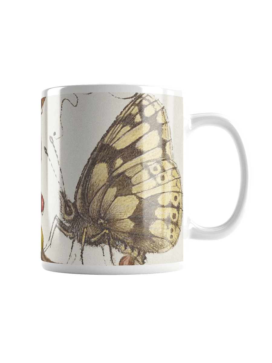 Eclectic Charm Mug product image (1)