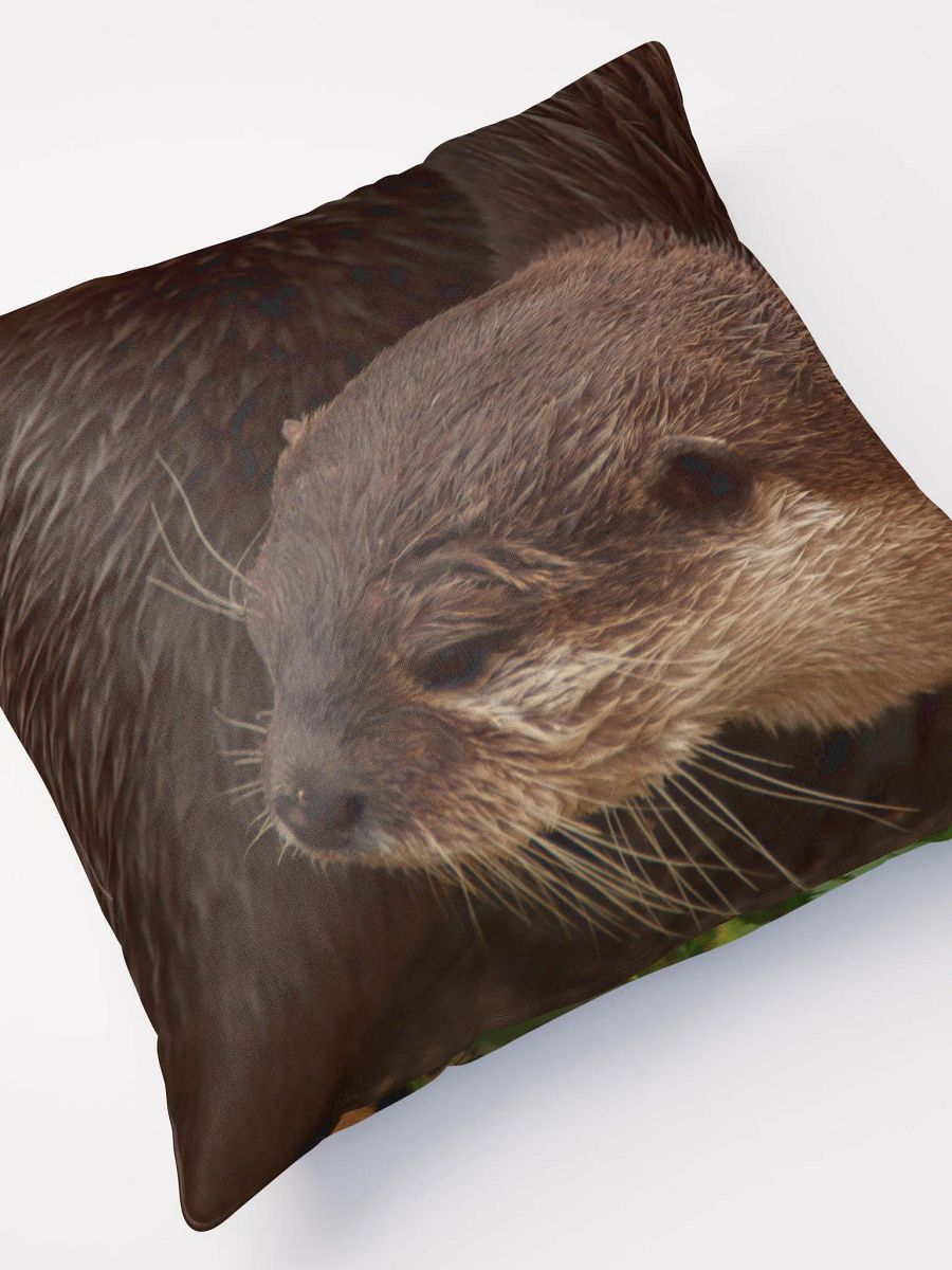 Jaguar & Otter Pillow product image (4)