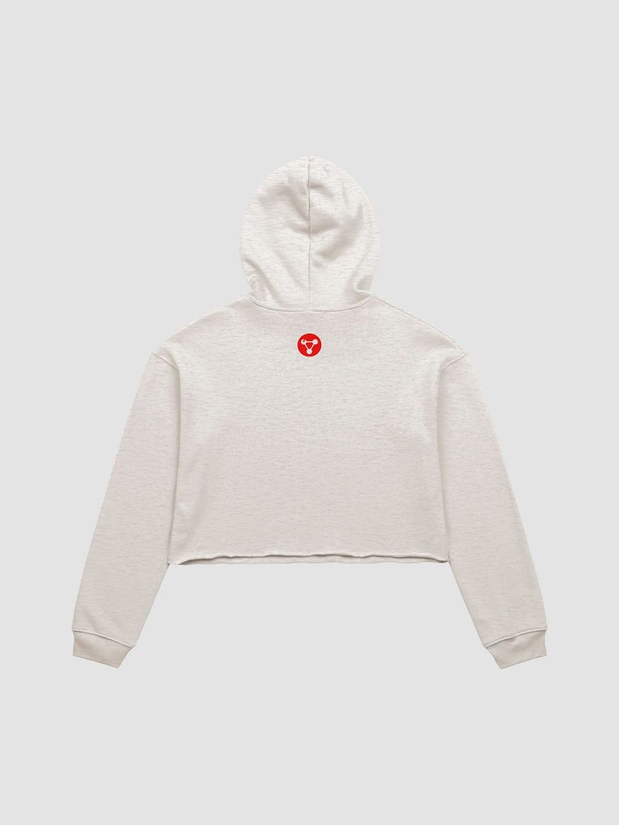 Bad Chemistry: Label Crop Hoodie product image (7)