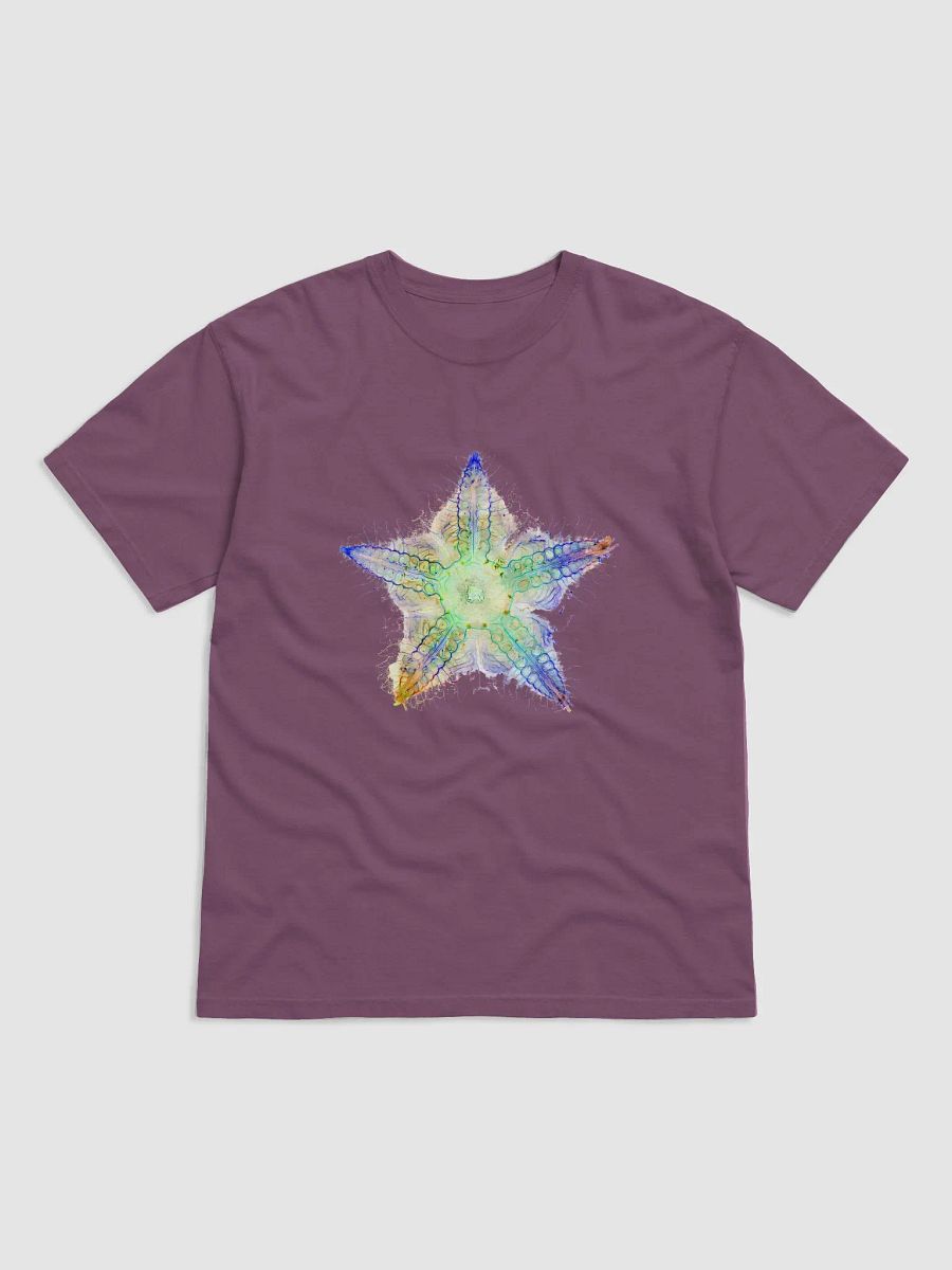 Starfish Nervous System product image (5)