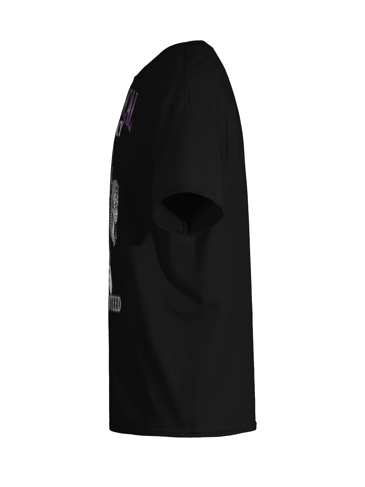 "Historical Accuracy" Tee product image (11)