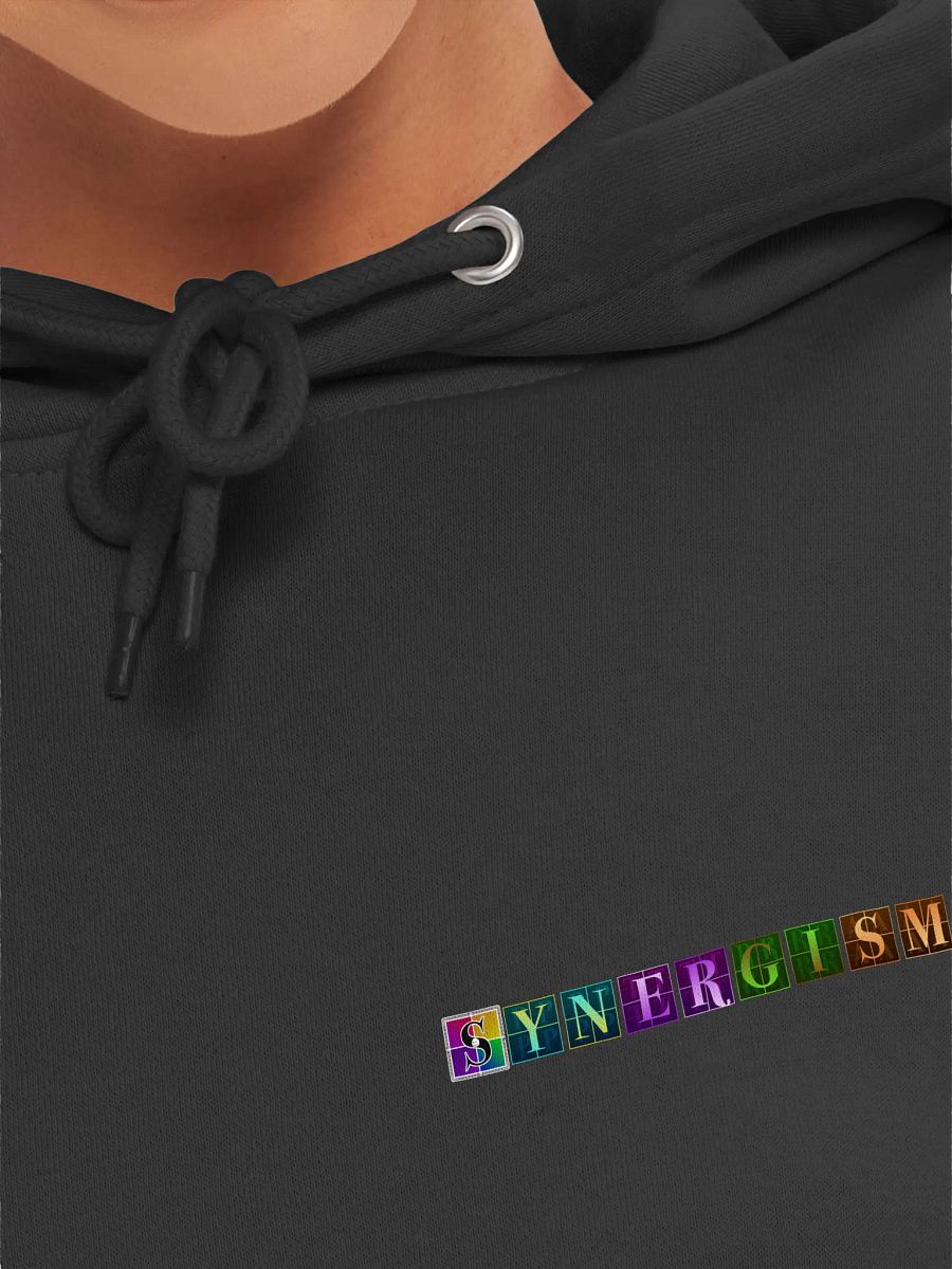 Synergism Hoodie Small Logo product image (7)