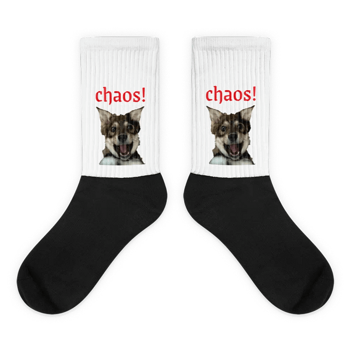 Chaos Coyote Socks product image (1)