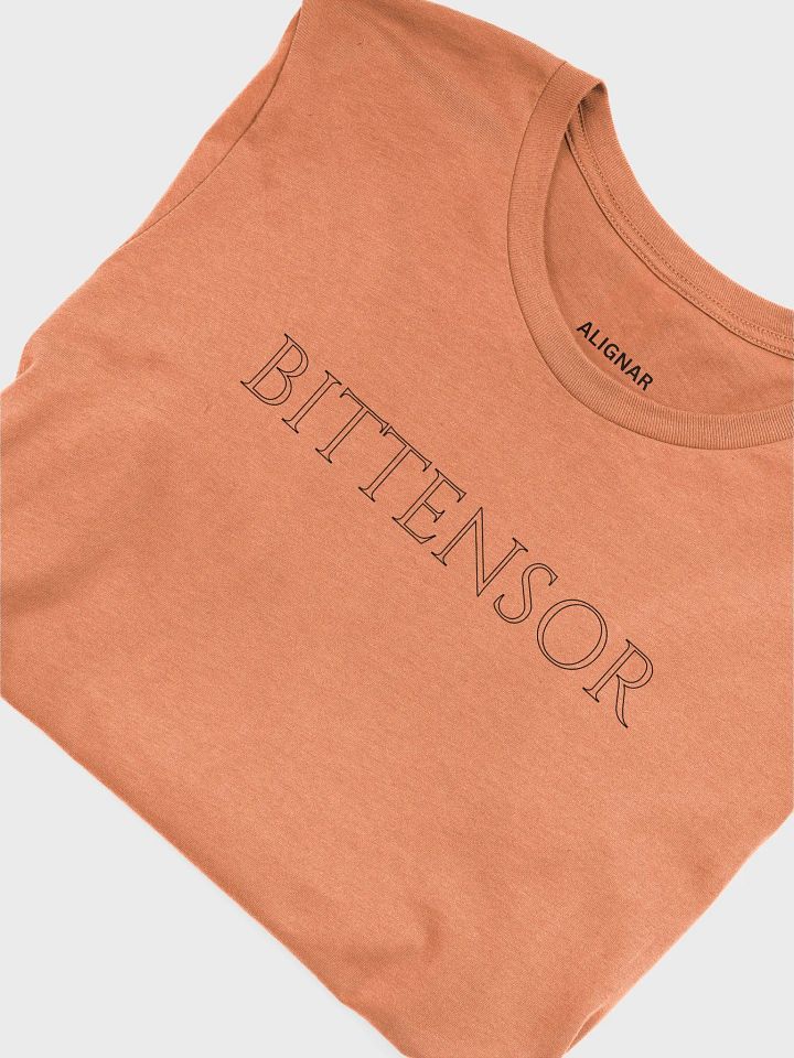 BITTENSOR product image (1)