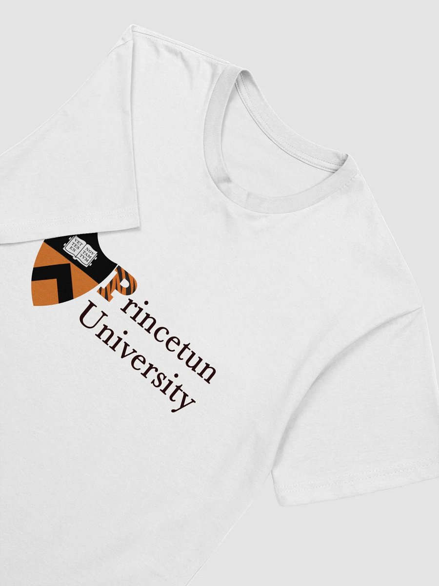 Princetun University product image (3)