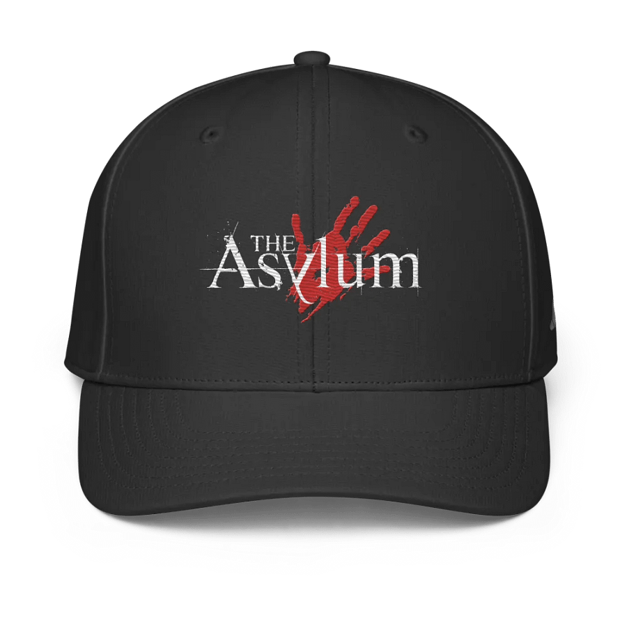 The Asylum product image (1)