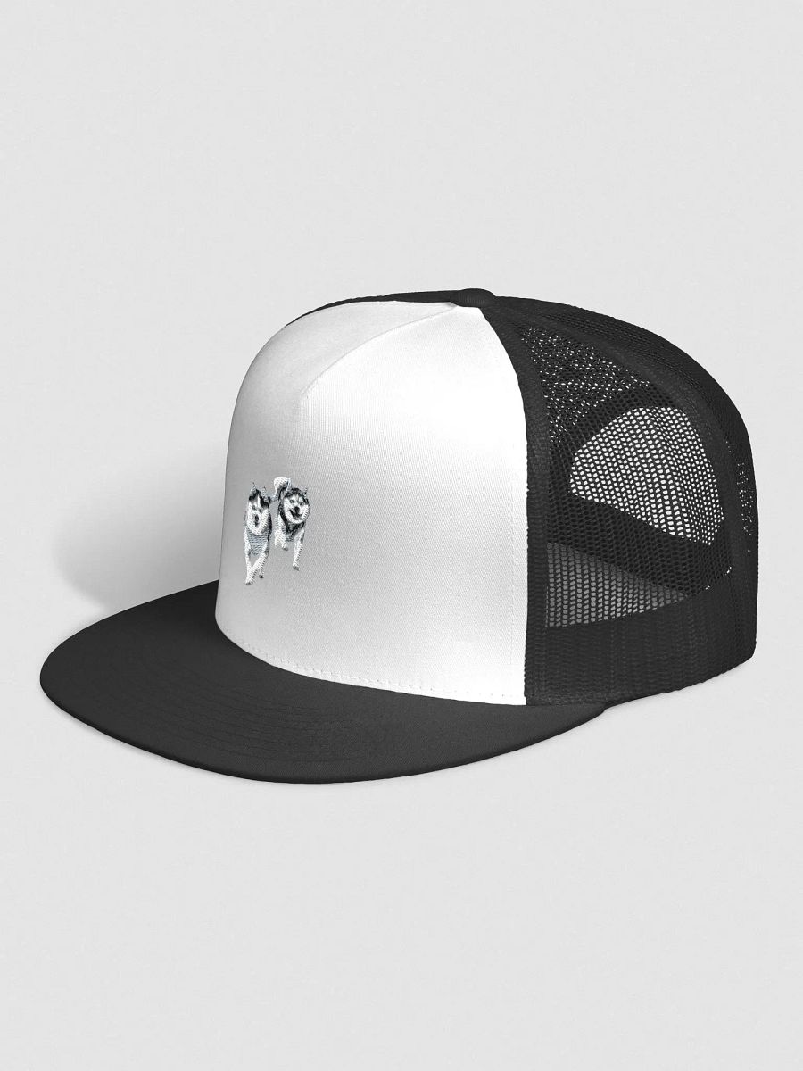Cute Klee Kai puppies - Hat product image (6)