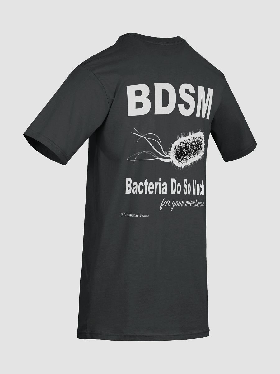 BDSM - Heavyweight T-shirt product image (8)