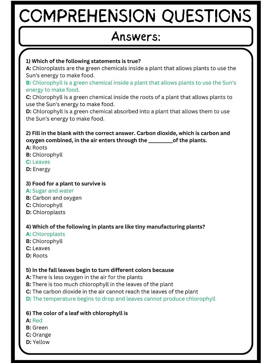 reading passages on photosynthesis worksheets with questions product image (4)
