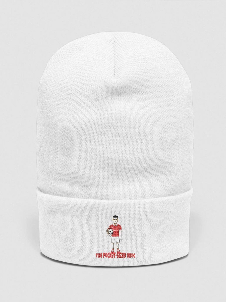 The Pocket-Sized Vidic Beanie product image (8)