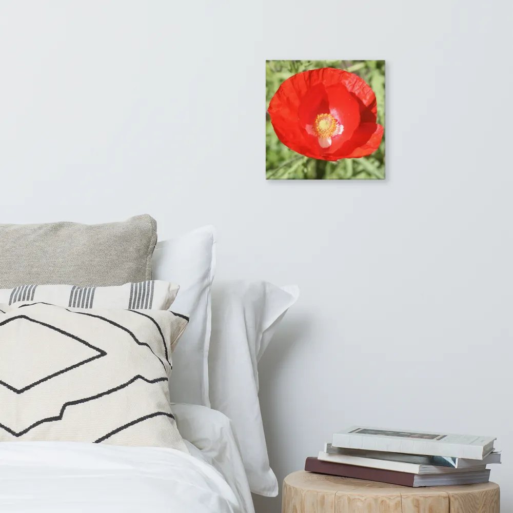 Red Poppy product image (8)